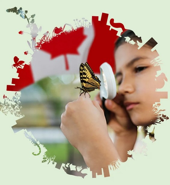 Take part in the 2026 City Nature Challenge!