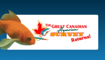 The Great Canadian Aquarium Survey Returns!