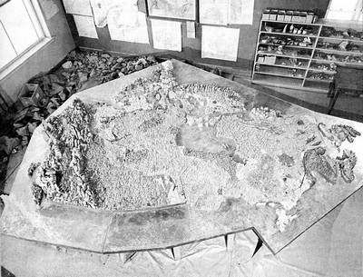 Rock Map of Canada 2