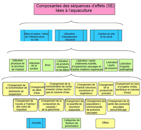 Figure 3 : Composantes des séquences d’effets liées à l’aquaculture : Activités, catégories de facteurs de perturbation et effets