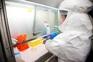 Photo: A CL3 scientist working in personal protective equipment in a biosafety cabinet
