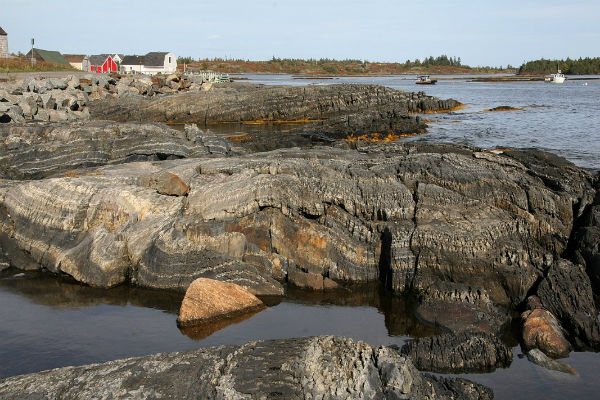 Roches sédimentaires métamorphosées de Meguma à Blue Rocks, en N.-É. Les bandes claires et foncées représentent les couches sédimentaires déposées près du pôle Sud sur le fond d’un océan qui n’existe plus depuis longtemps. Les roches ont été profondément enfouies, pliées et plissées par les forces tectoniques, puis ont été soulevées, et arrondies par l’érosion, pour en arriver à leur position et leur apparence actuelles. Photo – Rob Fensome (PhD)