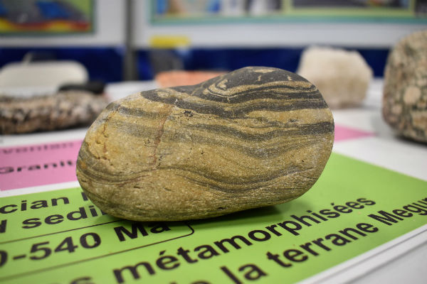 Sedimentary rock originally formed when southern Nova Scotia was a microcontinent, the Meguma Terrane, near the South Pole. Photo – Julie Root