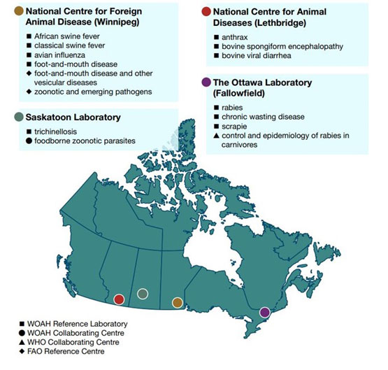 Map of CFIA’s reference laboratories and collaborating centres in Winnipeg, Lethbridge, Saskatoon and Ottawa