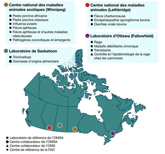 Carte des laboratoires de référence et des centres collaborateurs de l'ACIA à Winnipeg, Lethbridge, Saskatoon et Ottawa