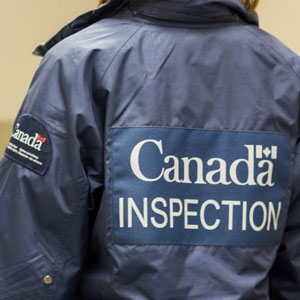 Six choses que l’ACIA fait pour maintenir la salubrité de l’approvisionnement alimentaire au Canada