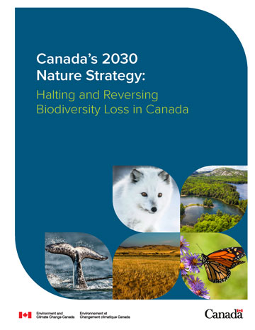 The Office of the Chief Science Advisor contributed expert feedback and recommendations to Environment and Climate Change Canada, supporting the development of Canada’s 2030 Nature Strategy.