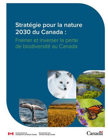 Le Bureau de la conseillère scientifique en chef a fourni des commentaires et des recommandations d’experts à Environnement et Changement climatique Canada, en soutien à l’élaboration de la Stratégie pour la nature 2030 du Canada.