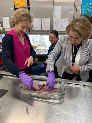 Mona Nemer, conseillère scientifique en chef du Canada, et Annette Gibbons, sous-ministre de Pêches et Océans Canada, ont visité les laboratoires scientifiques fédéraux de Terre-Neuve-et-Labrador.