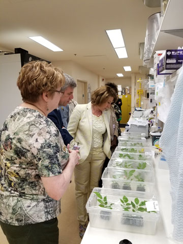 Mme Mona Nemer a visité une installation de recherche d’Agriculture et Agroalimentaire Canada à Saskatoon, où elle a discuté de pratiques agricoles novatrices avec des scientifiques.