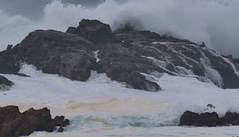 L’équipe de recherche gonfle ses rangs pour mieux comprendre les risques d’inondation côtière