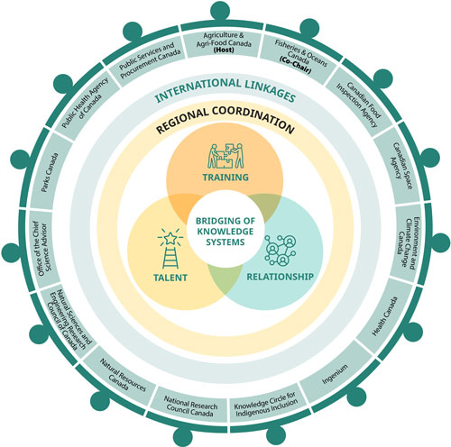 This image highlights the key themes of the I-STEM Cluster. The three central themes of training, talent, and relationships are shown as circles which overlap centrally. The design uses icons to represent each focus area. The fourth key theme of bridging knowledge systems is shown in the image as a circle centrally within the overlap of the previous three. Underpinning these themes is a focus on both regional coordination and international linkages, shown as hoops encircling the four themes.