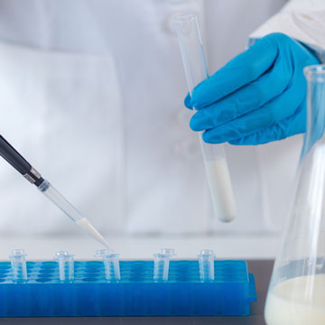 Un scientifique place des échantillons de lait dans des tubes à essai en vue de leur analyse.
