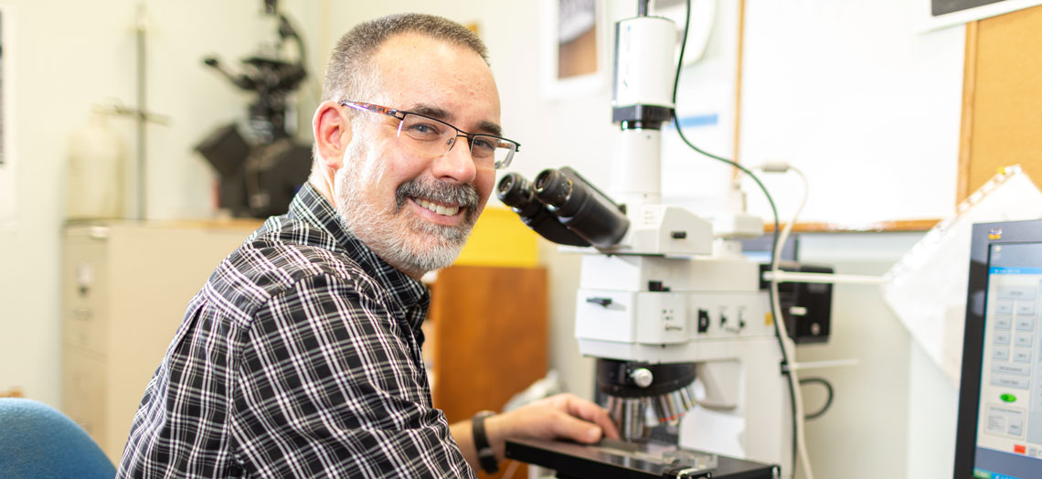 Science de la sécurité et de la technologie des transports
