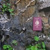 168. Carnet de terrain (2008)