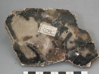 Cristal de mica