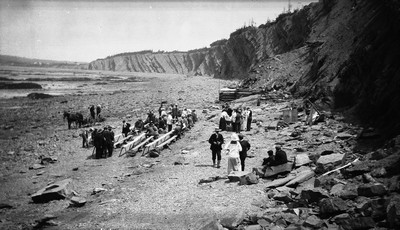 Falaises fossilifères de Joggins