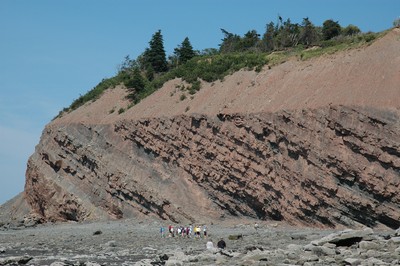 Falaises fossilifères de Joggins