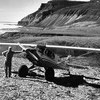 81. Pneus de toundra (1958)