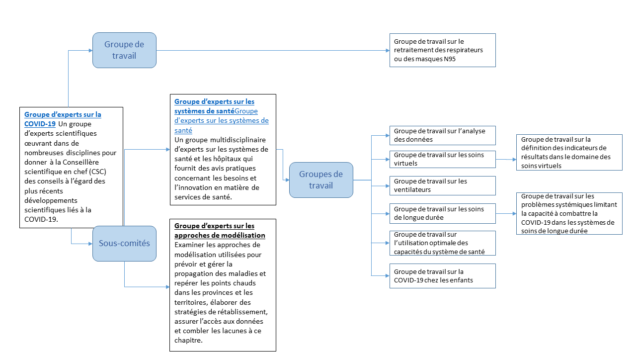Figure 1 : Organisation de la mobilisation des experts sur la COVID-19