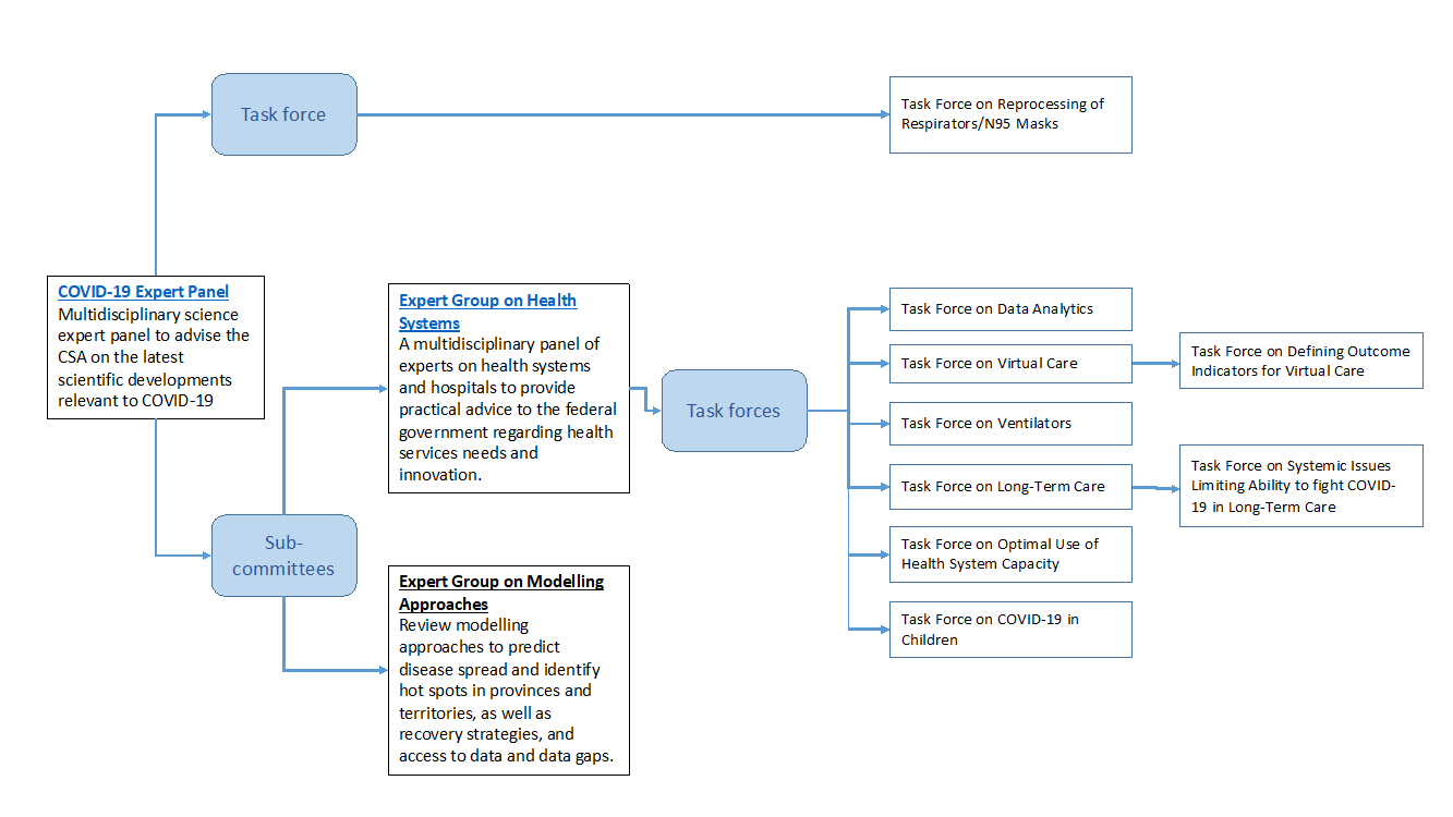 Figure 1: Organization of expert engagement on COVID-19