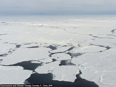 Less concentrated sea ice. 