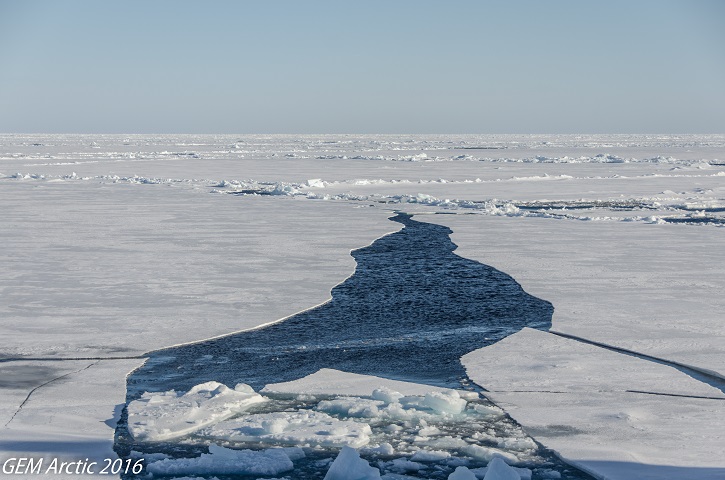 Une banquise très serrée parcourue d’une fissure où nous pouvons naviguer plus facilement.