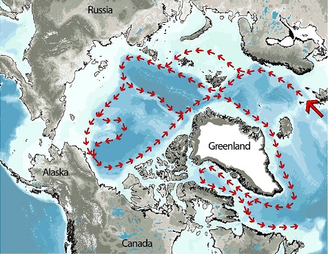 Circulation des eaux de l’Atlantique.