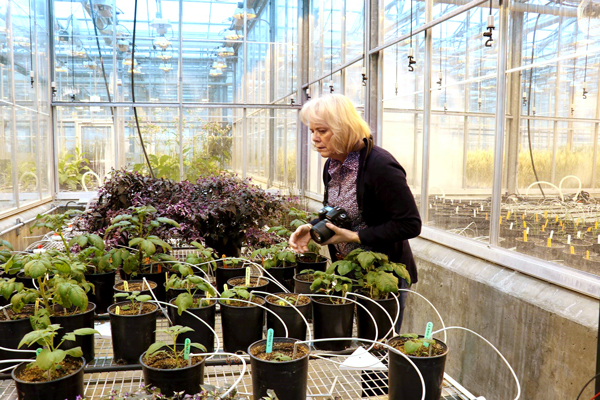 Photo : Anne Smith Ph.D.