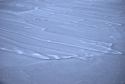 « Nilas sombres ». Photo de Hans Böggild.