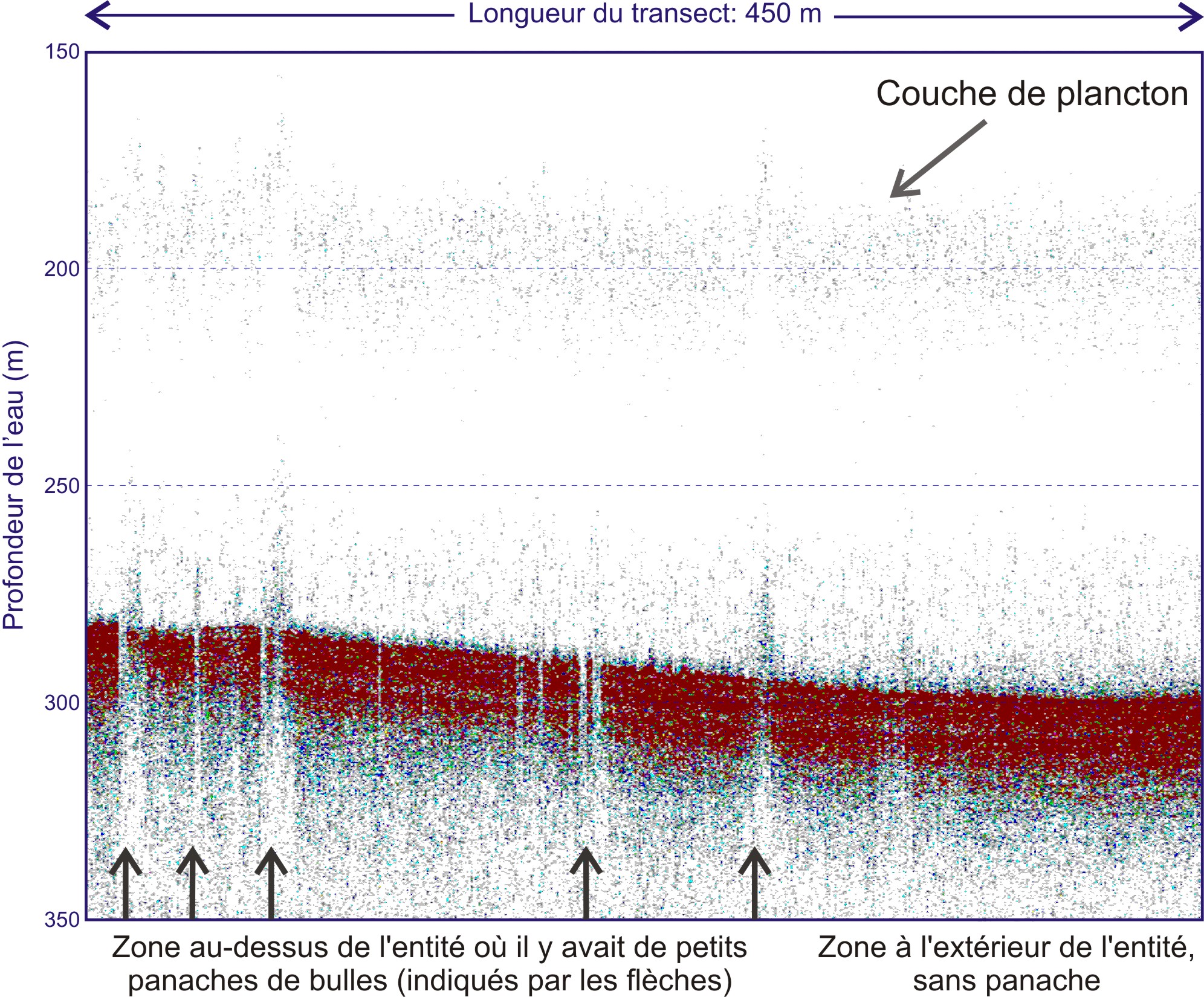 Données obtenues avec le sondeur de 12 kHz au-dessus de l’entité « Coke Cap ».