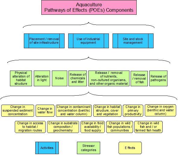 Figure 3: Aquaculture Pathways of Effects Components: Activities, Stressor Categories and Effects