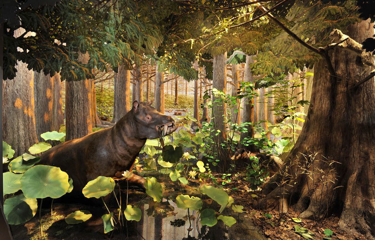 Photo : Dans ce diorama de l’American Museum of Natural History, nous voyons le coryphodon