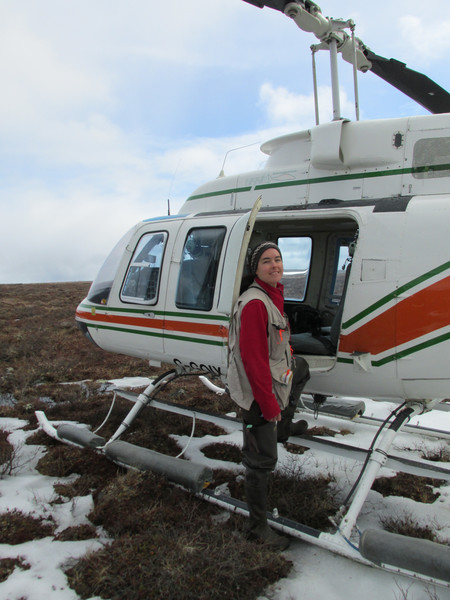 Shorebird survey volunteer, Debbie Buehler getting into helicopter