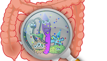 Microbiota