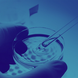 Qui constitue une menace?