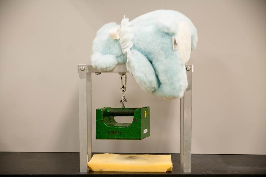 Pour des séances de photo et des démonstrations, Santé Canada soumet ce solide gaillard à de dures épreuves depuis plus de 20 ans, et ses yeux sont encore intacts! Pour vérifier les yeux et le nez des poupées et des jouets en peluche, un poids de 9 kg (20 lb) y est suspendu pendant 5 minutes. Ouch!