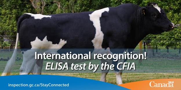 Canada is a multi-million dollar exporter of high-quality cattle semen and embryos. Having a quick and accurate cattle semen test is important to Canada’s trade and economy.