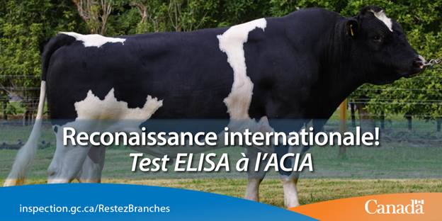 Le Canada exporte pour plusieurs millions de dollars de sperme et d’embryons de bovins de haute qualité. Un test rapide et fiable pour le sperme de bovins est important pour l’économie et les échanges commerciaux du Canada.
