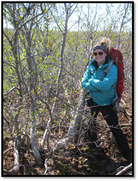 Jenna (à droite) est dans un boisée d'arbrisseaux Alnus viridis, au ruisseau Siksik. 