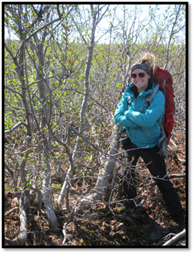 Jenna (à droite) est dans un boisée d'arbrisseaux Alnus viridis, au ruisseau Siksik.