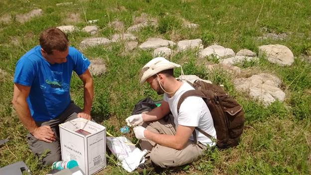 Sébastien Rouleau, Ecomuseum Zoo’s Coordinator of Research and Conservation, in the field with student Philippe Lamarre taking skin swab samples from various species of snakes to send to Dr. Matt Allender’s laboratory for genomic testing.