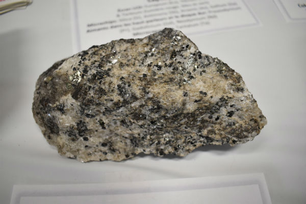 Carbonatite with niobium and rare earth elements 