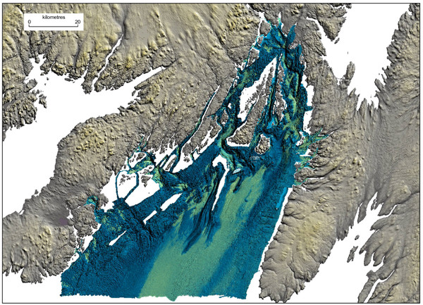 Carte montrant la rétrodiffusion dans la baie de Plaisance.
