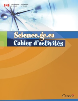 Cahier d'activités 1