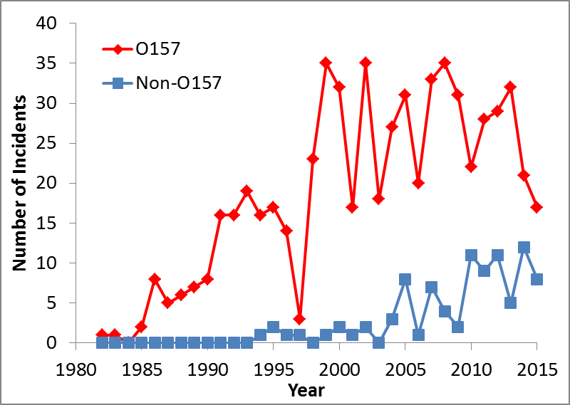 International and Canadian reports of foodborne Verotoxigenic Escherichia coli incidents.
