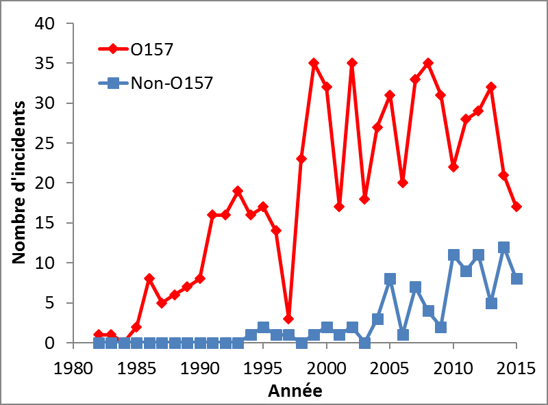 Rapports canadiens et internationaux des incidents liés à Escherichia coli vérotoxinogène d'origine alimentaire ayant un vecteur alimentaire déterminé, de 1982 à 2016.