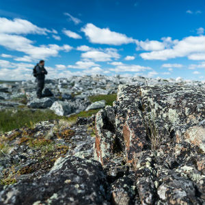 À la recherche des premières manifestations de la vie dans l’Arctique canadien