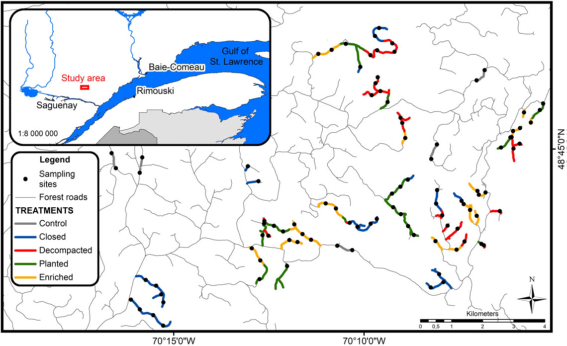 Figure 3 : Zone d’étude dans la réserve de biodiversité Akumunan, située au nord-est de la rivière Saguenay, au Québec (Canada), au sein du Nitassinan, le territoire traditionnel des Innus Essipit. Quarante kilomètres de chemins ont été fermés dans le but de restaurer l’habitat du caribou.
