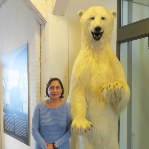 Le problème mondial du mercure dans l’Arctique
